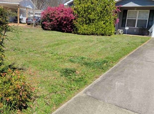 Catherine F.'s Yard Cutting service result