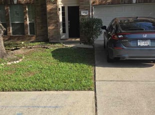 Bush Trimming by Roberto Pena for Elizabeth M. in Spring, TX