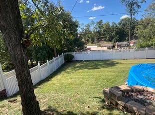 Athena B.'s Lawn Care service result