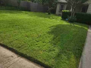 Larry C.'s Lawn Maintenance service result