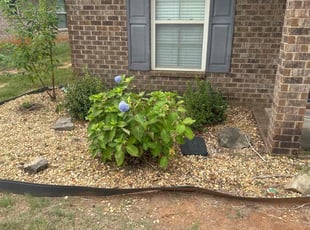 Weeding by Mitchell Kendall for Jeremy H. in Madison, AL