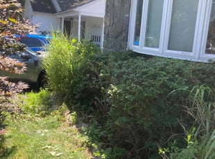 Bush Trimming by Kyle Roberts for Kieanna S. in Torrington, CT