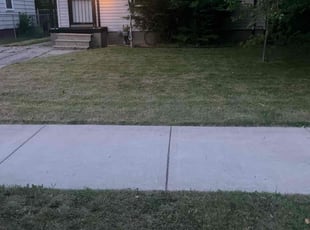 Aeration by Tyler David for Tarayvette M. in Detroit, MI