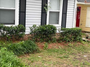Bush Trimming by Derrick Crudup for Marshall S. in Raleigh, NC