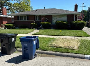 Melanie G.'s Lawn Mowing service result