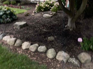 Weeding by Scott Basinger for Hadden A. in Lakewood, OH