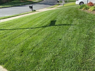 Warnetta E.'s Lawn Mowing Service service result