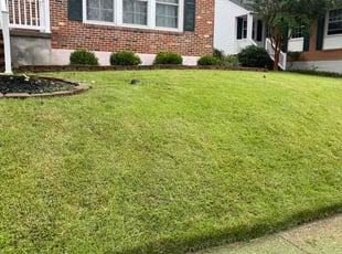 Kashif j.'s Lawn Mowing Service service result