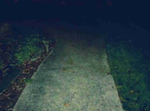 Leaf Removal by Matthew Bobbio for David E. in Meridian charter Township, MI