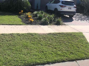 Weeding by William Harvey for Keniya R. in Davenport, FL