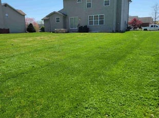 Joi M.'s Lawn Mowing service result