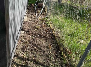Cleanups by Valentin Velazco for Marcie S. in Comstock Park, MI