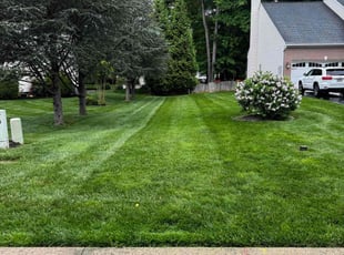 Steve M.'s Lawn Maintenance service result