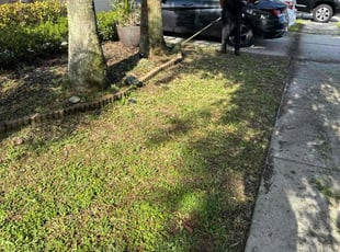 Weeding by Zariya McClary for Chelsea T. in Tampa, FL