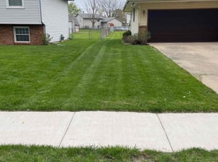 Erik H.'s Yard Cutting service result