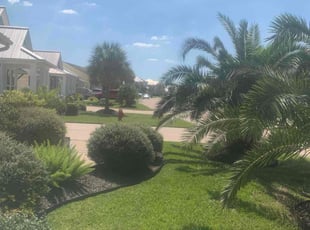 JC A.'s Lawn Mowing Service service result