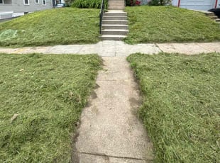 Brittany J.'s Yard Cutting service result