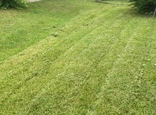 Bobby W.'s Lawn Maintenance service result