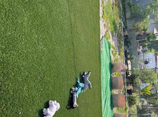 Jason C.'s Lawn Care service result