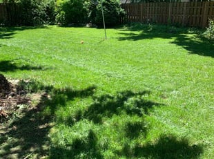 Dave W.'s Grass Cutting service result