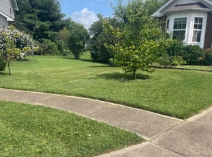 Sharon W.'s Lawn Care service result