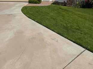 Herman N.'s Lawn Care service result