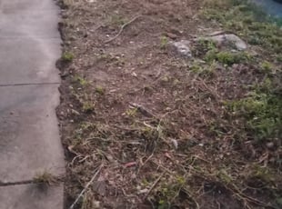 Leaf Removal by Gary Ebanks for Shantel C. in Metairie, LA