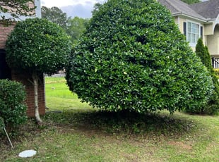 Bush Trimming by Marc Yero for Terence E A. in Powder Springs, GA