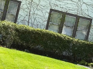 Bush Trimming by Janell Moreland for Tom l. in Rochester, NY