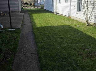 Laverne I.'s Lawn Care service result