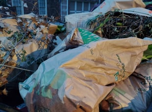 Cleanups by Lamar Bradley for Jack M H. in Atlanta, GA