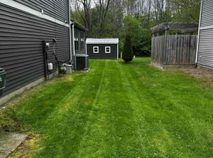 TaKeesha W.'s Lawn Care service result