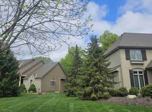 Lauren F.'s Yard Cutting service result