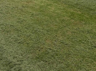 Tom T.'s Lawn Service service result