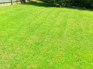 Megan M.'s Lawn Care service result