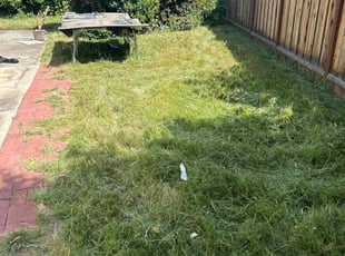 Cleanups by Amador Avila Haro for Shi S. in San Jose, CA