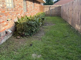 Bush Trimming by Jerry Wells for Zipporah N. in Baton Rouge, LA