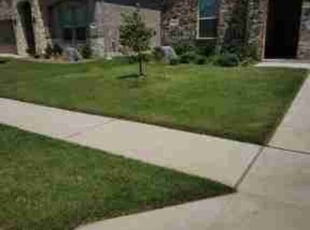 Kanisha F.'s Lawn Care service result