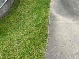 Janet P.'s Lawn Mowing service result