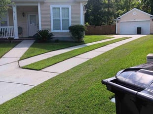Paula S.'s Lawn Mowing service result