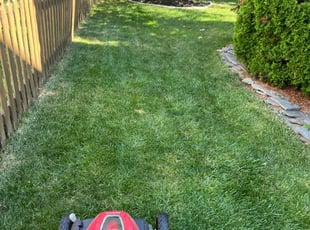 Gloria D.'s Lawn Service service result