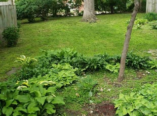 Leaf Removal by Pamela Eisenlauer for Elizabeth F. in Des Moines, IA