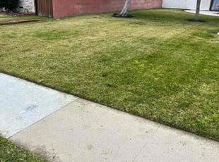 Marvin M.'s Lawn Maintenance service result