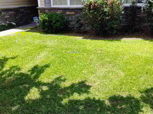 Bush Trimming by Ronald Butler for Troy Y. in North Charleston, SC