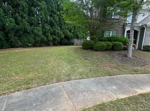 Camesha D.'s Lawn Care service result