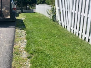 Wanda B.'s Lawn Service service result