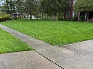 Andy L.'s Lawn Care service result