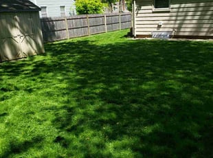 Deborah D.'s Lawn Maintenance service result