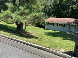 Tawana M.'s Lawn Mowing service result