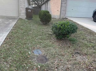 Bush Trimming by MMS Lawncare and Landscaping for Sabrina M. in San Antonio, TX
